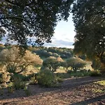 Villa Requejo Cerca De Benavente Tr 49426 *