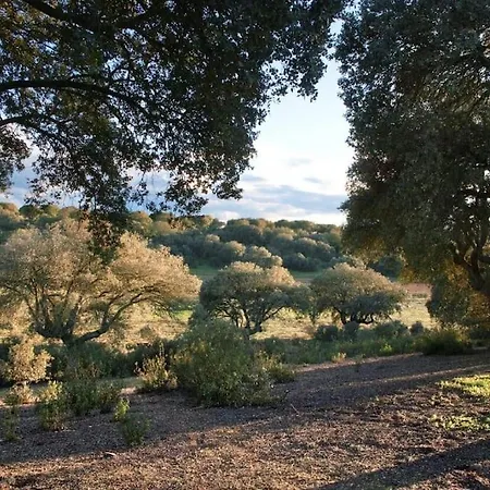 Vila Requejo Cerca De Benavente Tr 49426 *