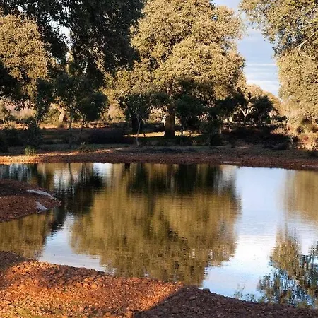 Requejo Cerca De Benavente Tr 49426 Villa *