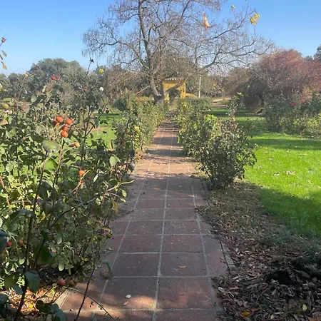 Villa Requejo Cerca De Benavente Tr 49426 *