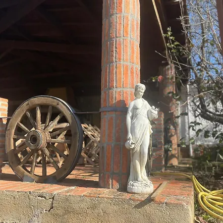 Requejo Cerca De Benavente Tr 49426 Villa Manganeses de la Polvorosa