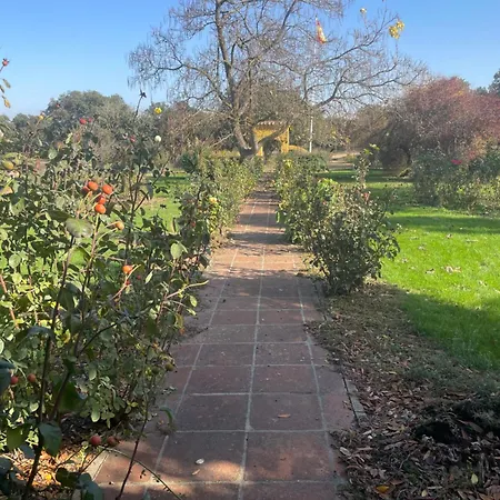 Villa Requejo Cerca De Benavente Tr 49426