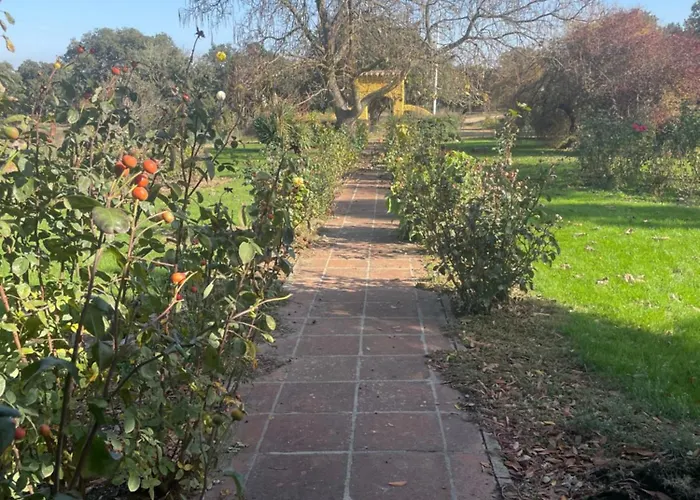 빌라 Requejo Cerca De Benavente Tr 49426