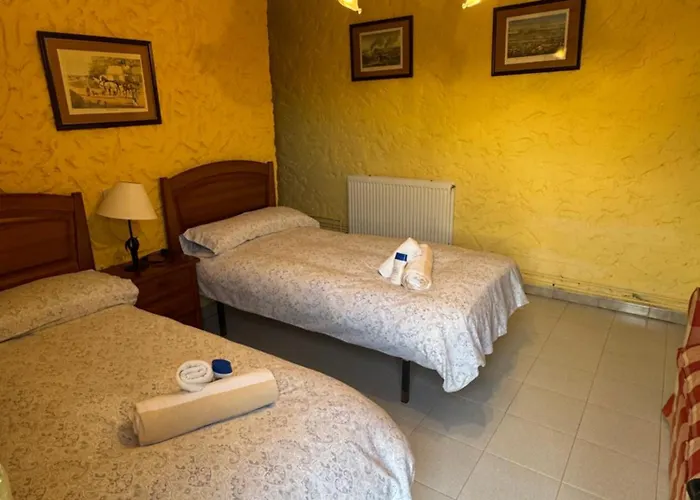 Requejo Cerca De Benavente Tr 49426 *